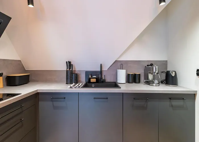 Czarny Baran ザコパネ