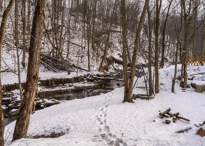 アパート Czarny Baran