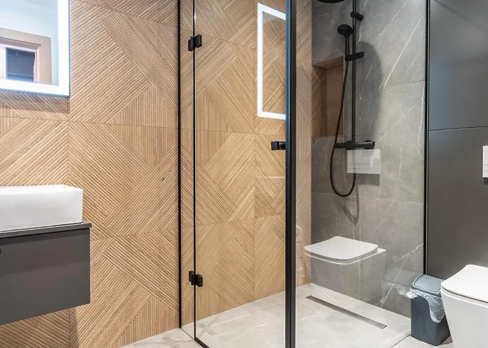 アパート Czarny Baran ザコパネ