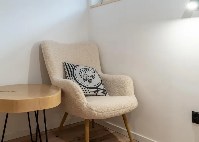 Czarny Baran アパート ザコパネ