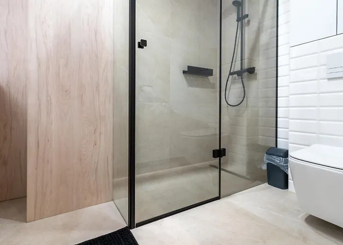 Czarny Baran ザコパネ