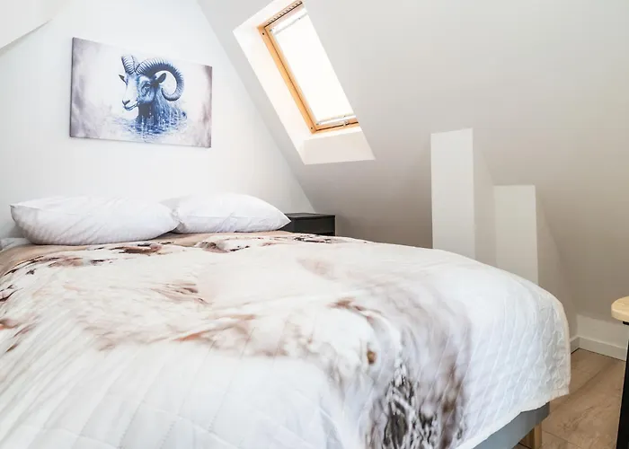 アパート Czarny Baran ザコパネ