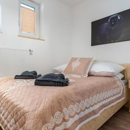 Czarny Baran Apartment *