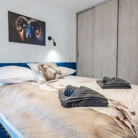Apartment Czarny Baran *
