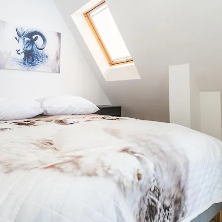 아파트 Czarny Baran 자코파네