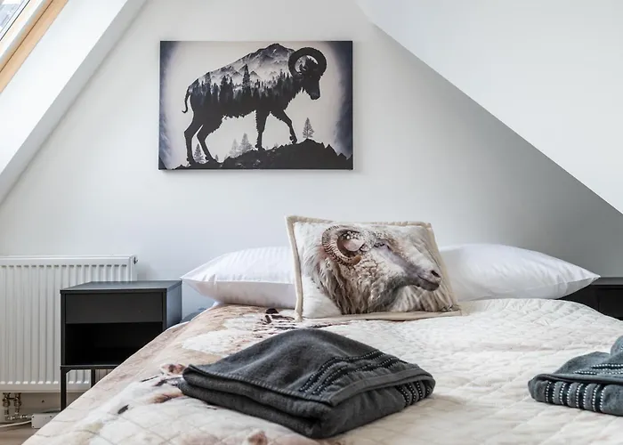 Czarny Baran شقة *